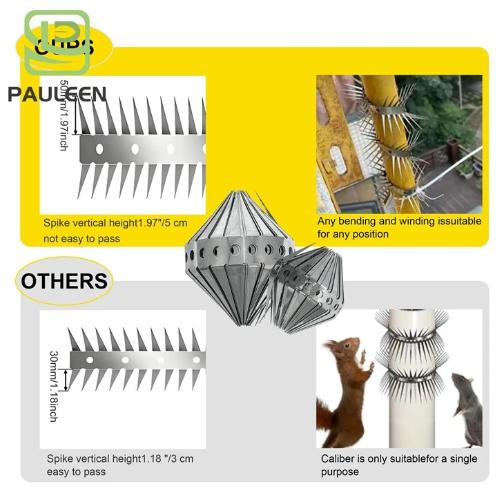 Stainless Steel Rat Spikes best Stainless Steel Rat Spikes best